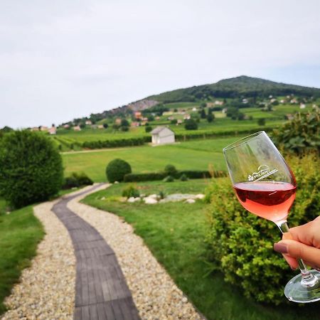 Отель Roze Vendeghaz Виллань Экстерьер фото